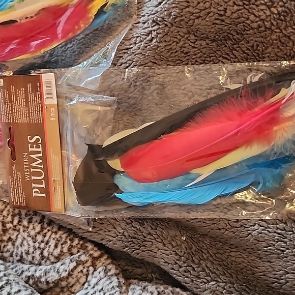 Bundle of feathers - Picture 3 of 5